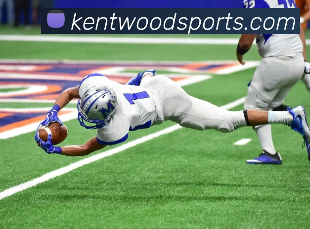 体育下注品牌故事